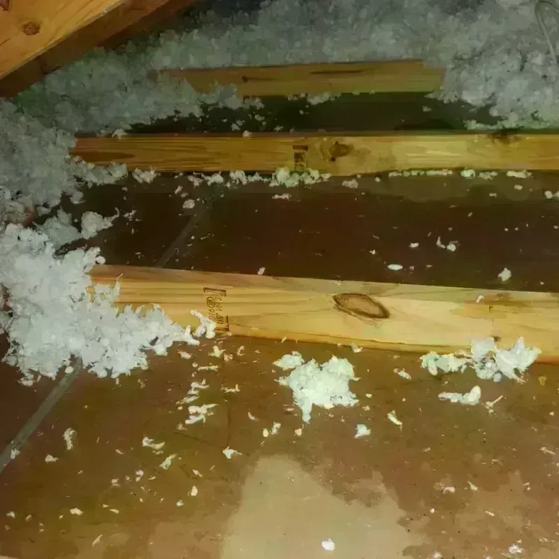 Attic Water Damage in Duplin County, NC